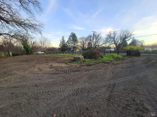 a view of dirt yard with large trees