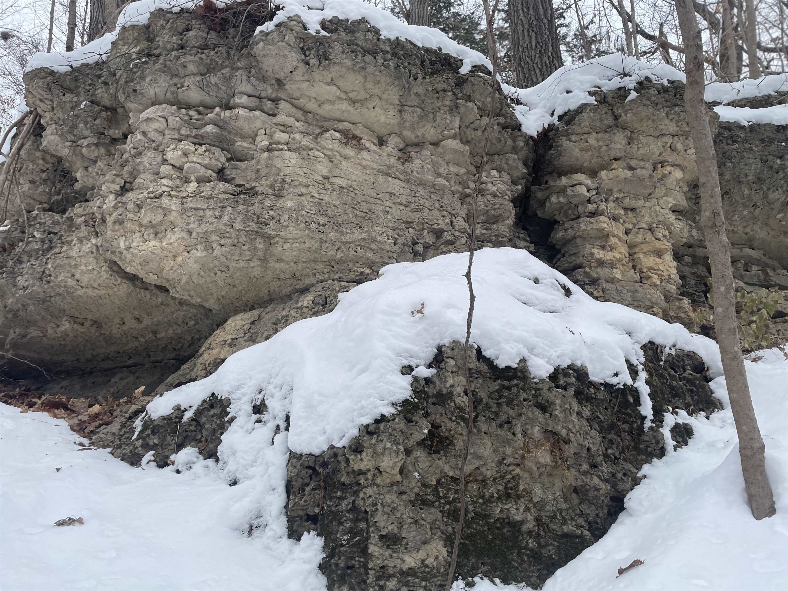 Tbd West Chestnut Mountain Road Hanover, IL 61041 - Photo 17 of 21