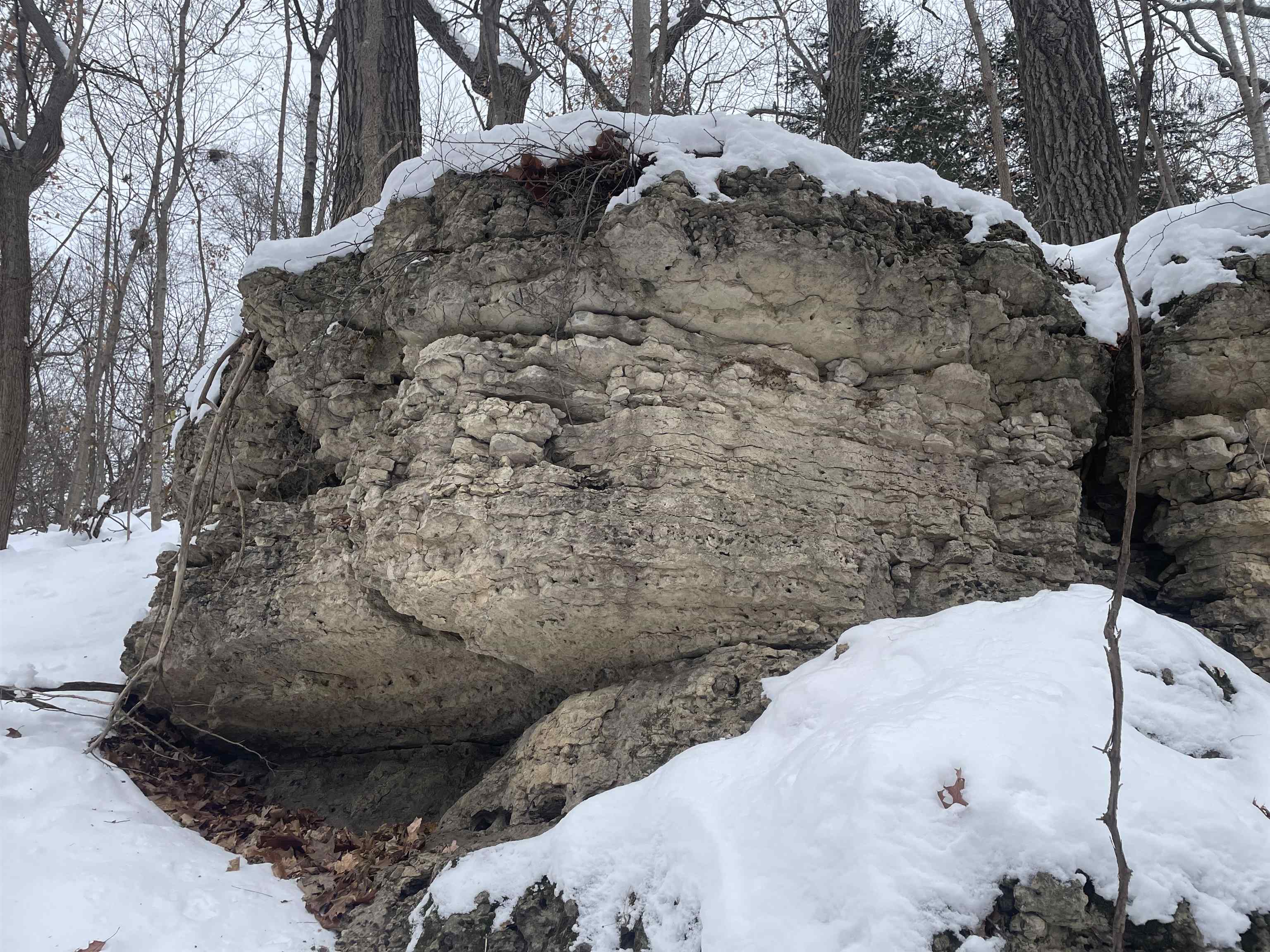 Tbd West Chestnut Mountain Road Hanover, IL 61041 - Photo 18 of 21