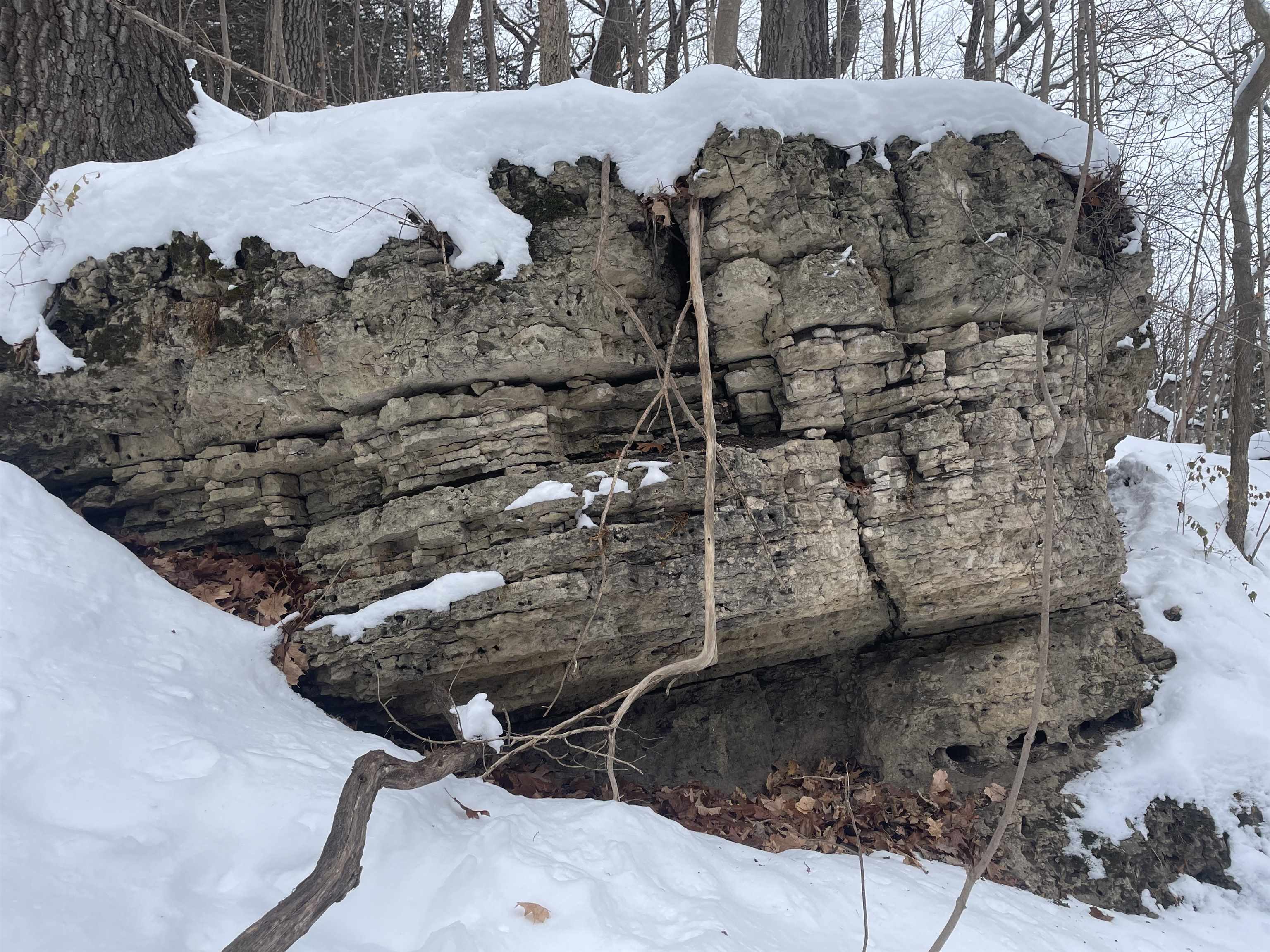 Tbd West Chestnut Mountain Road Hanover, IL 61041 - Photo 19 of 21