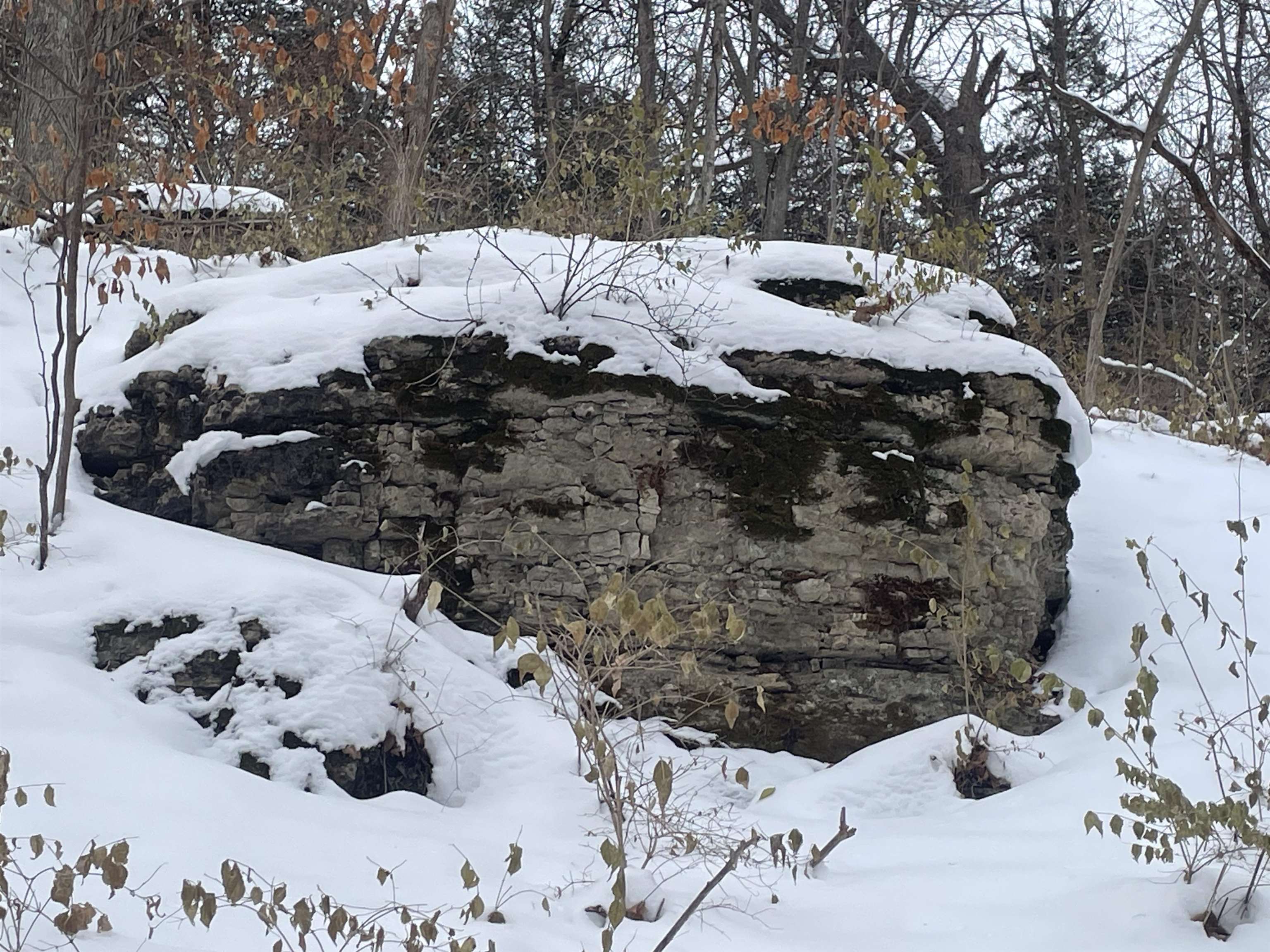 Tbd West Chestnut Mountain Road Hanover, IL 61041 - Photo 20 of 21