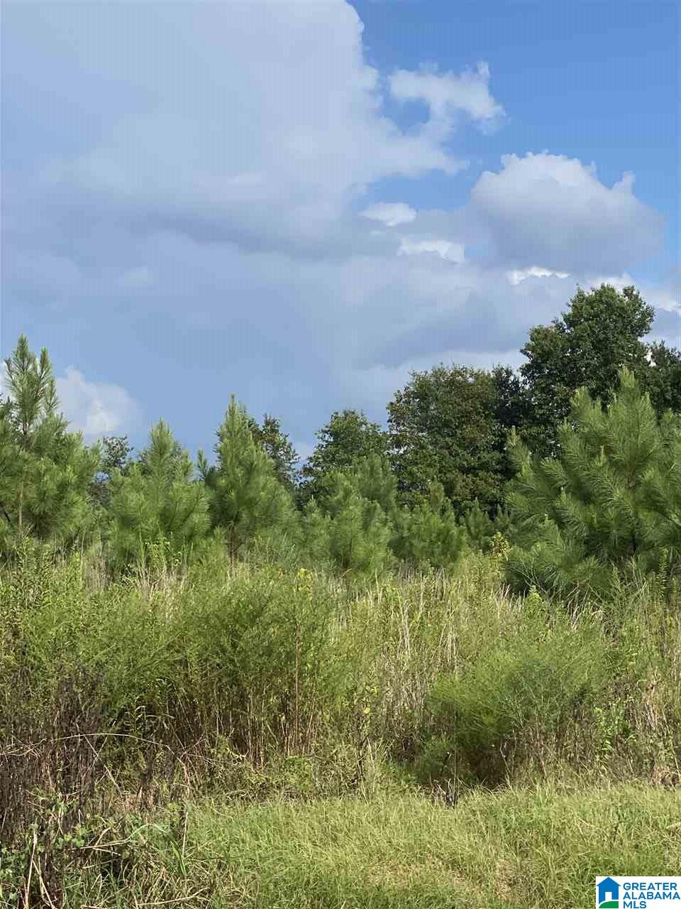 Corner School Road Warrior, AL 35180 - Photo 3 of 11