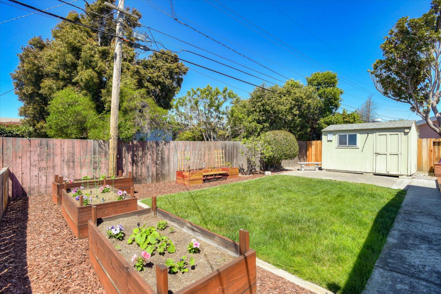 1619 Echo Avenue San Mateo, CA 94401 - Photo 32 of 34 a backyard of a house with table and chairs plants and large tree