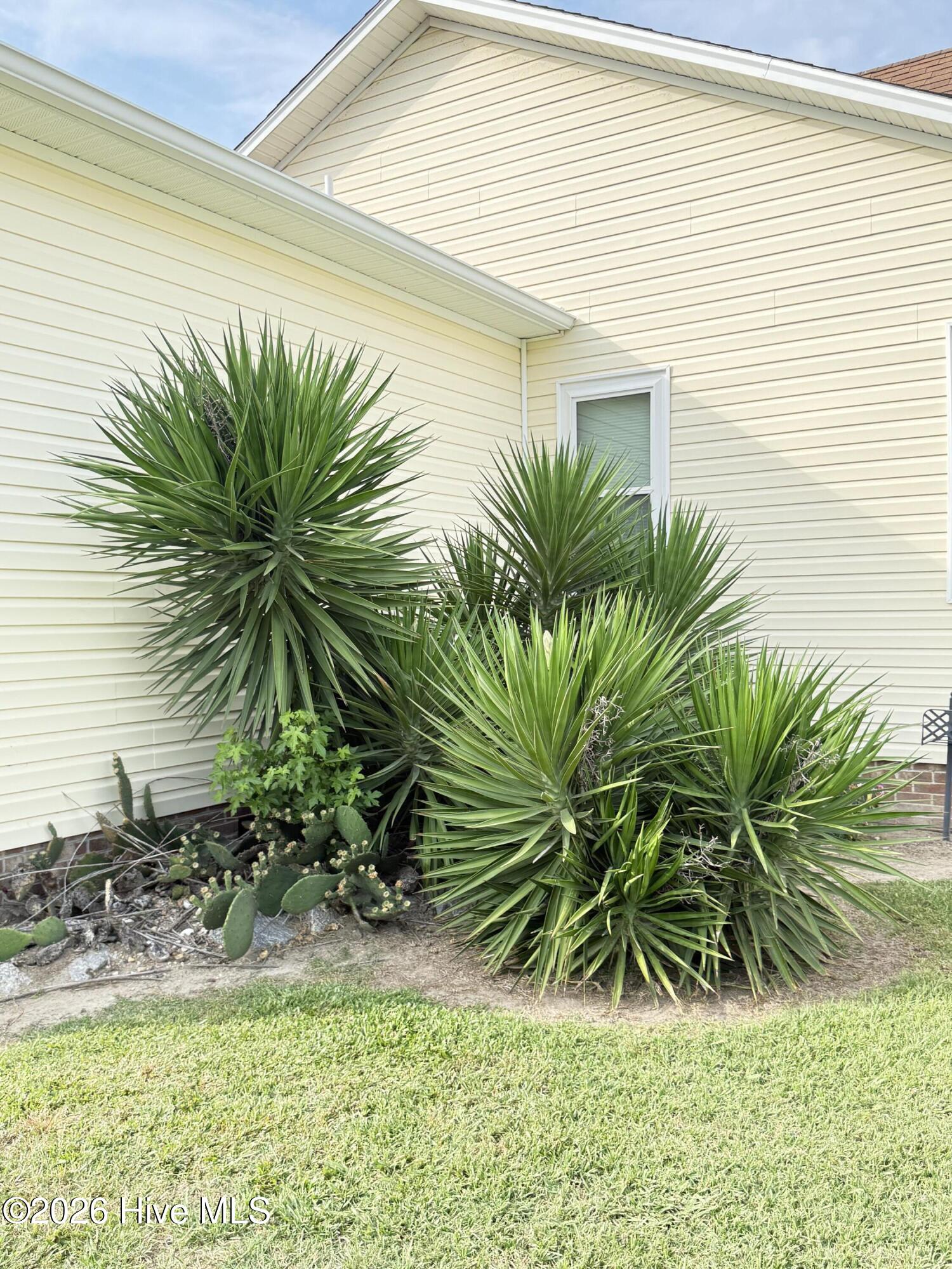 576 Ludford Road Elizabeth City, NC 27909 - Photo 50 of 67