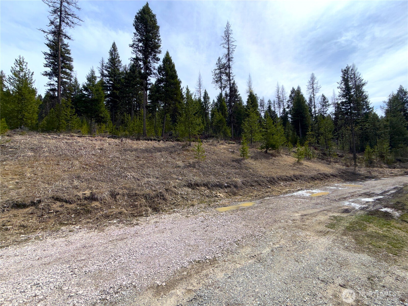 37 Gardner Creek Road Republic, WA 99166 - Photo 20 of 25