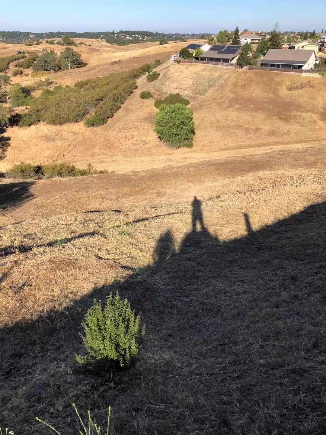 1115 Paradise Peak Road Valley Springs, CA 95252 - Photo 9 of 15