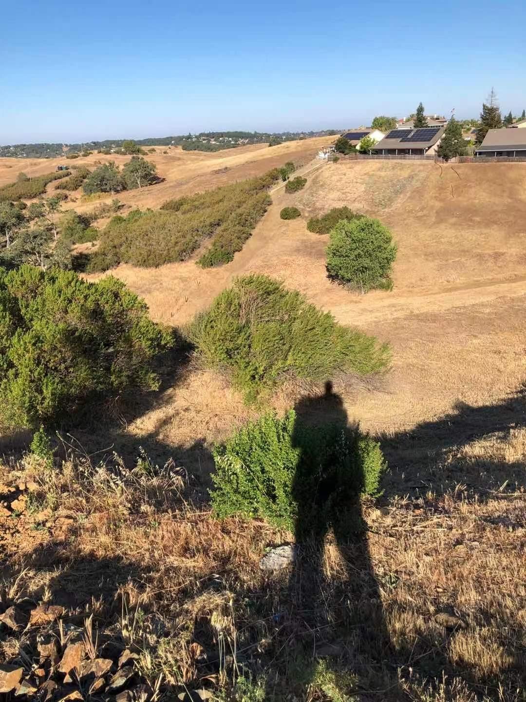 1115 Paradise Peak Road Valley Springs, CA 95252 - Photo 10 of 15