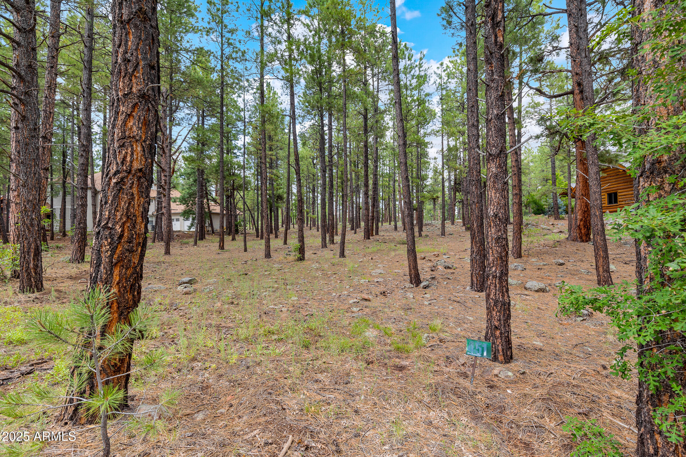 3781 Griffiths Spring, Unit 451 Flagstaff, AZ 86005 - Photo 2 of 5 a view of outdoor space with trees