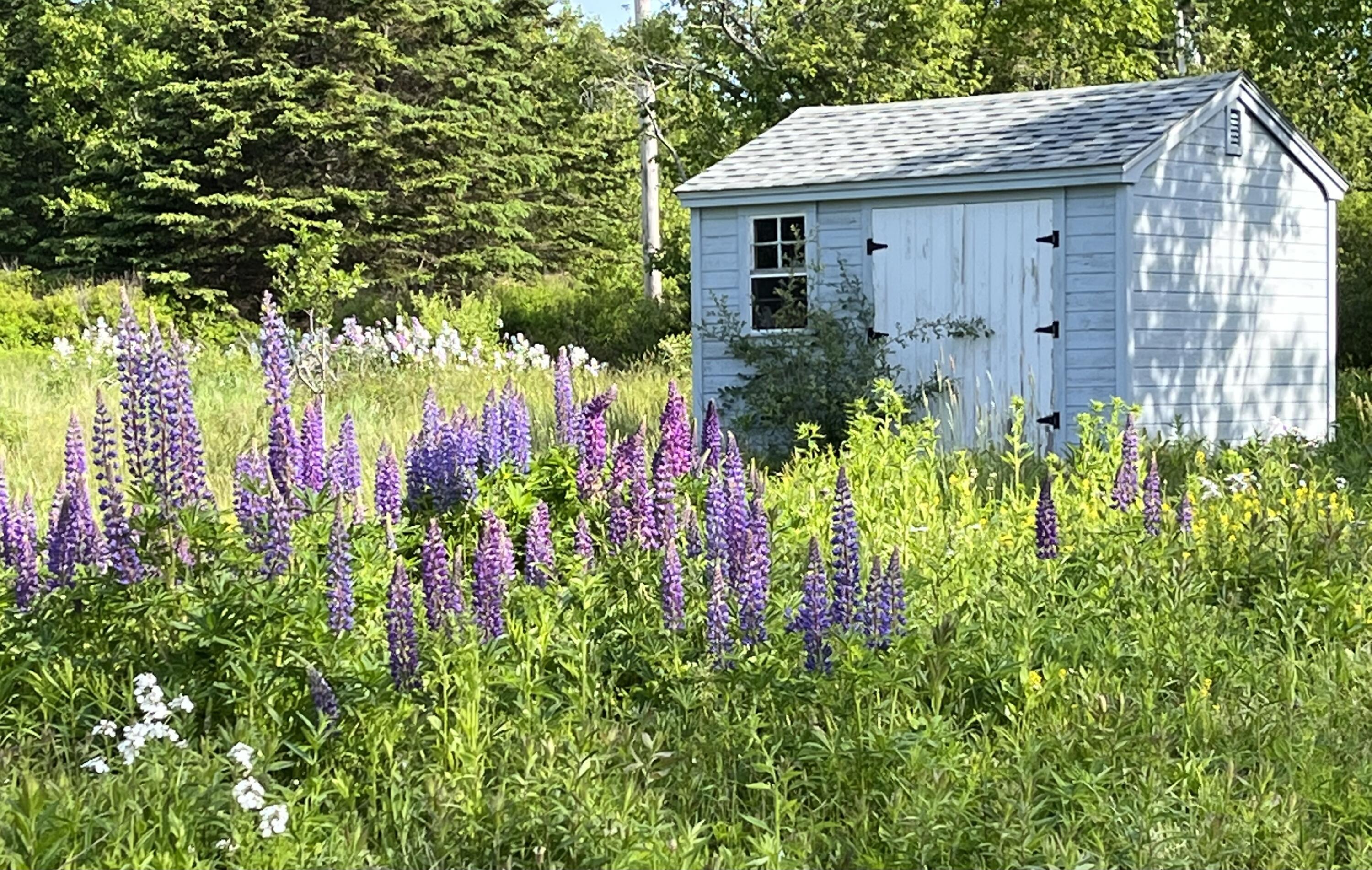 170 Horse Point Road Tenants Harbor, ME 04860 - Photo 60 of 71 IMG_4722