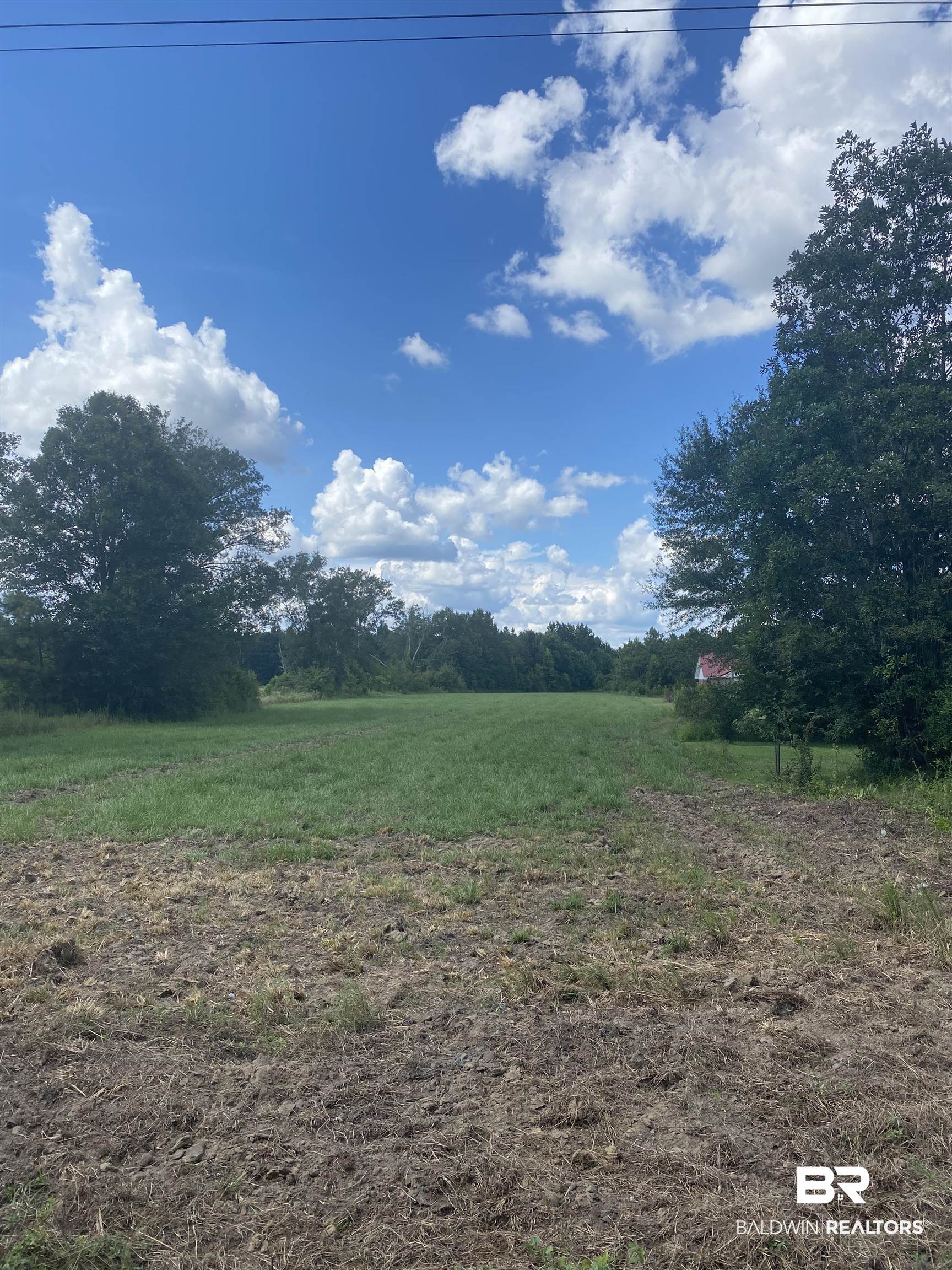 0 Woods Road Atmore, AL 36502 - Photo 3 of 6