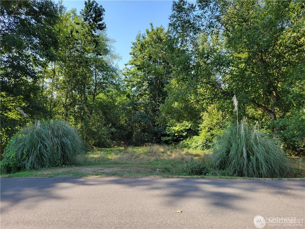 18815 Southeast 134th Place Renton, WA 98059 - Photo 2 of 3 a view of a yard with a trees