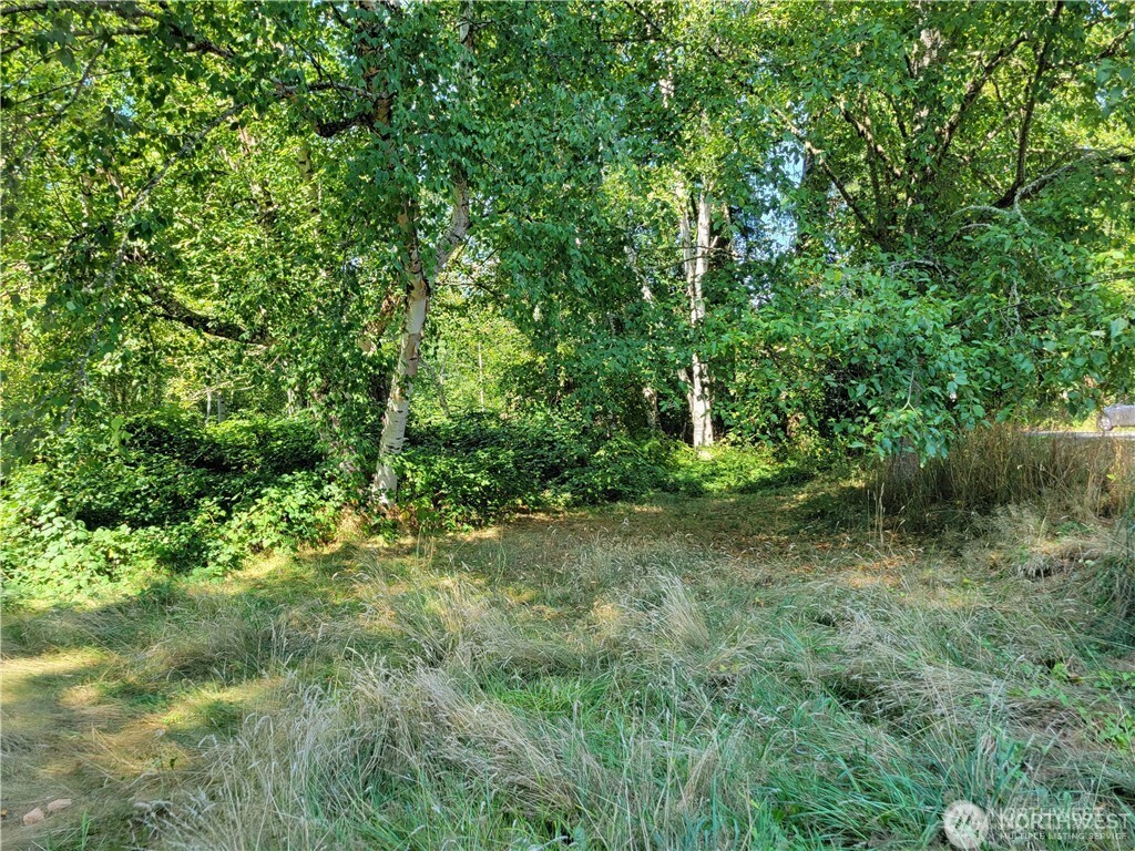 18815 Southeast 134th Place Renton, WA 98059 - Photo 3 of 3 a view of a lush green forest