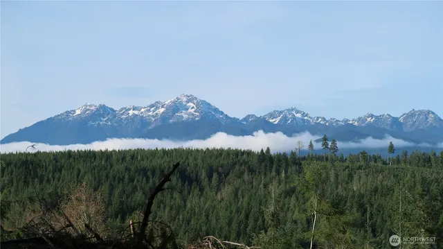 a view of a city with a mountain in the background