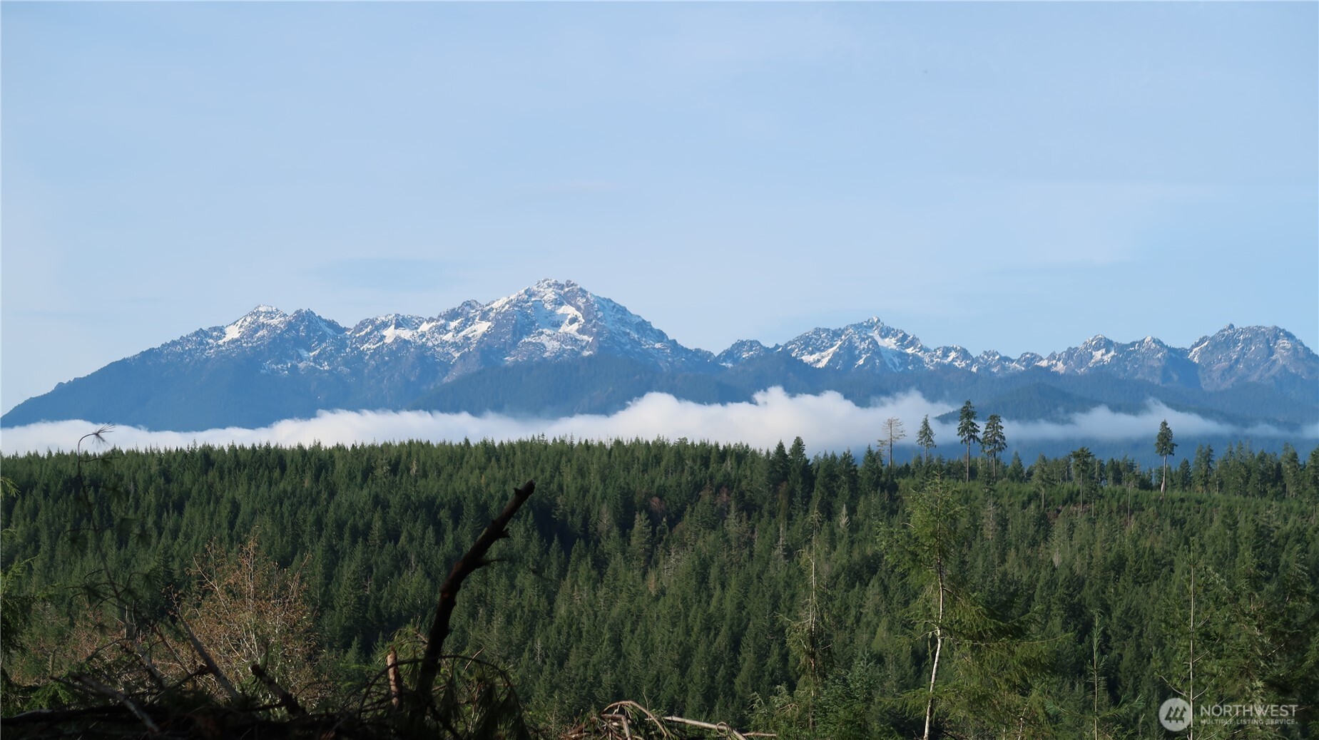 a view of a city with a mountain in the background