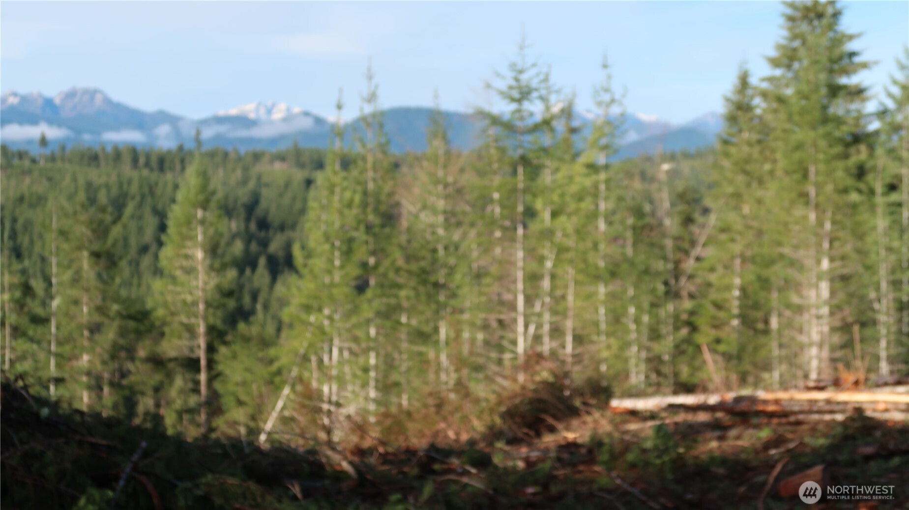 2180 Northeast Holly Dewatto Road Tahuya, WA 98588 - Photo 13 of 30 a view of a city