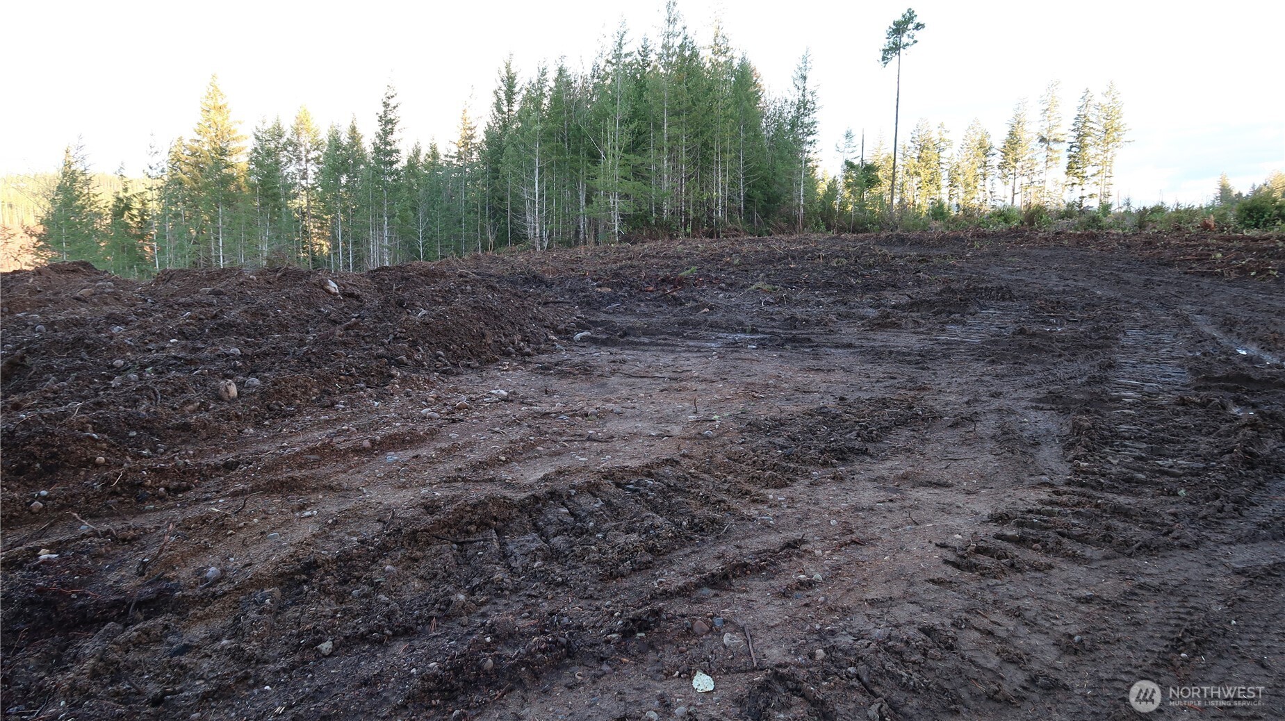 2180 Northeast Holly Dewatto Road Tahuya, WA 98588 - Photo 15 of 30 a view of a yard