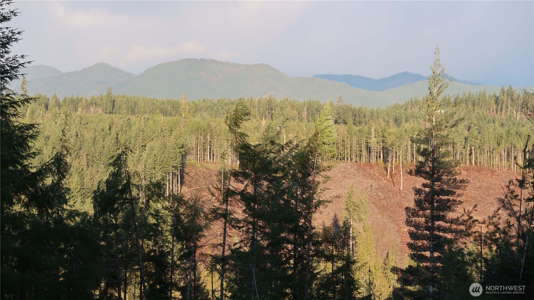 2180 Northeast Holly Dewatto Road Tahuya, WA 98588 - Photo 16 of 30 a view of lake with mountain