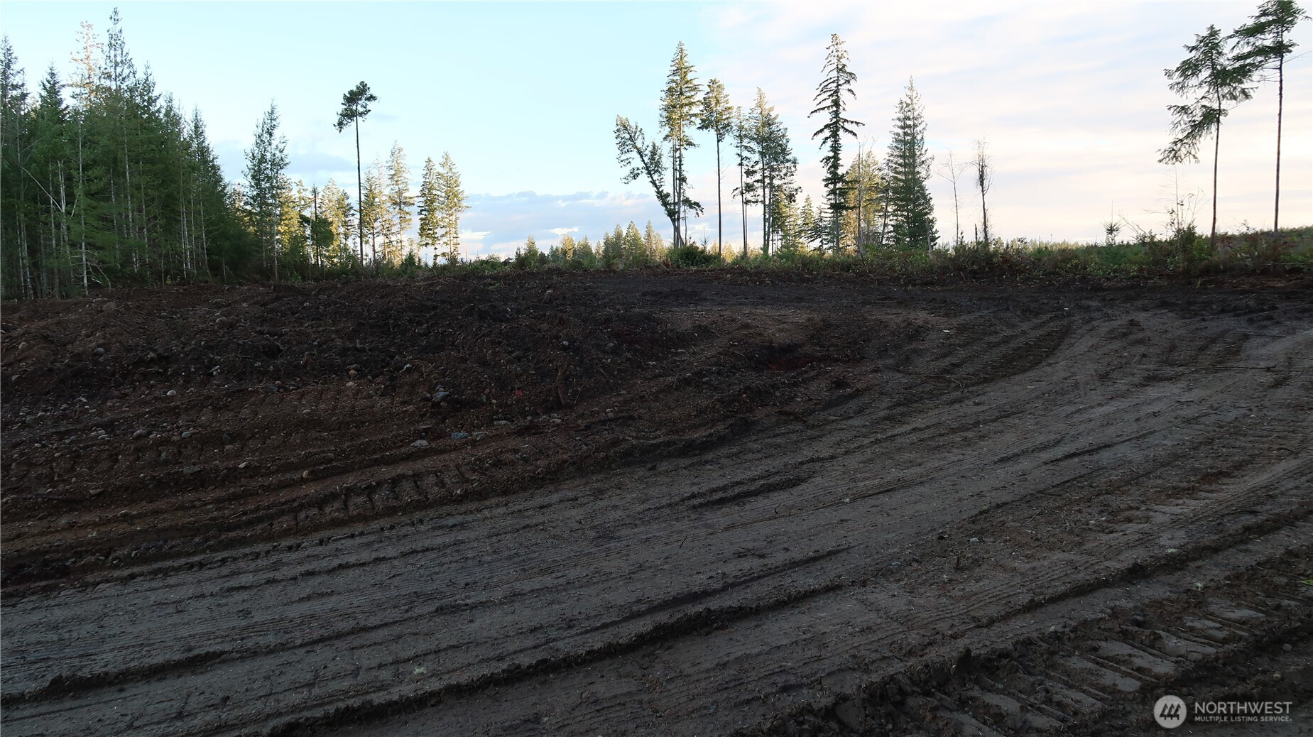 2180 Northeast Holly Dewatto Road Tahuya, WA 98588 - Photo 17 of 30 a view of a yard