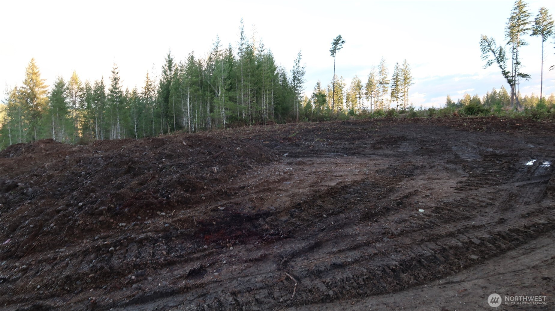 2180 Northeast Holly Dewatto Road Tahuya, WA 98588 - Photo 18 of 30 a view of a yard