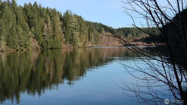 a view of a lot of trees and bushes