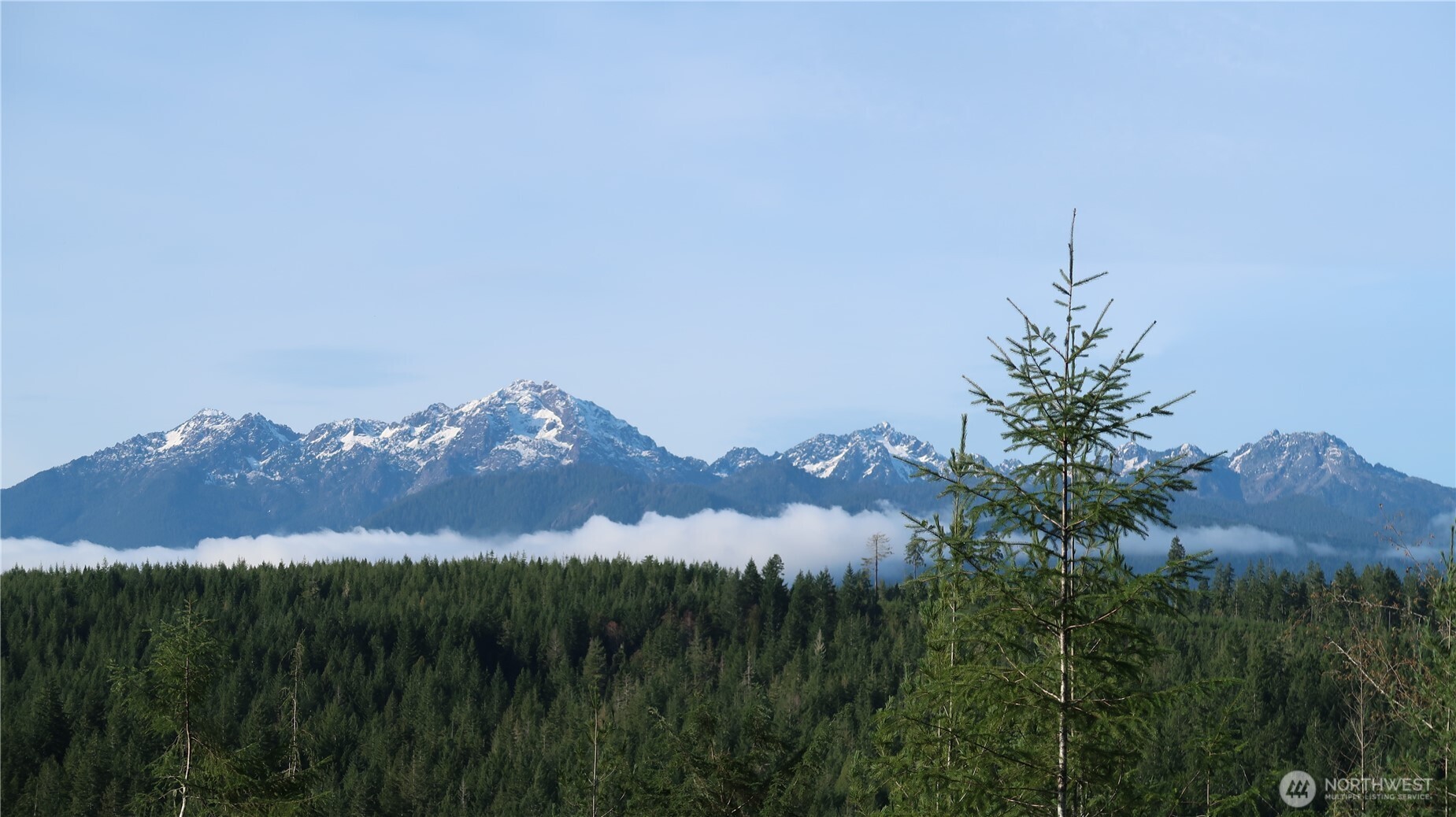 2180 Northeast Holly Dewatto Road Tahuya, WA 98588 - Photo 2 of 30 a view of a city with a mountain in the background