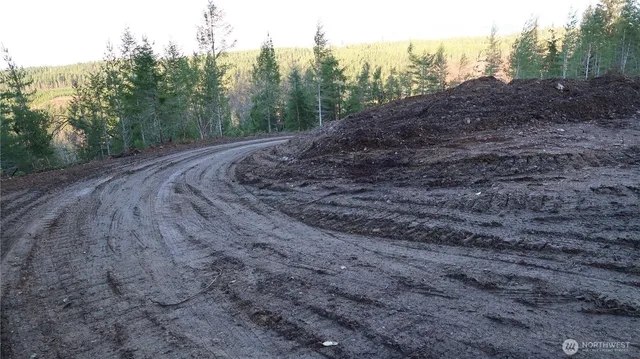 a big yard with lots of green space