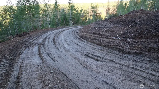 a big yard with lots of green space