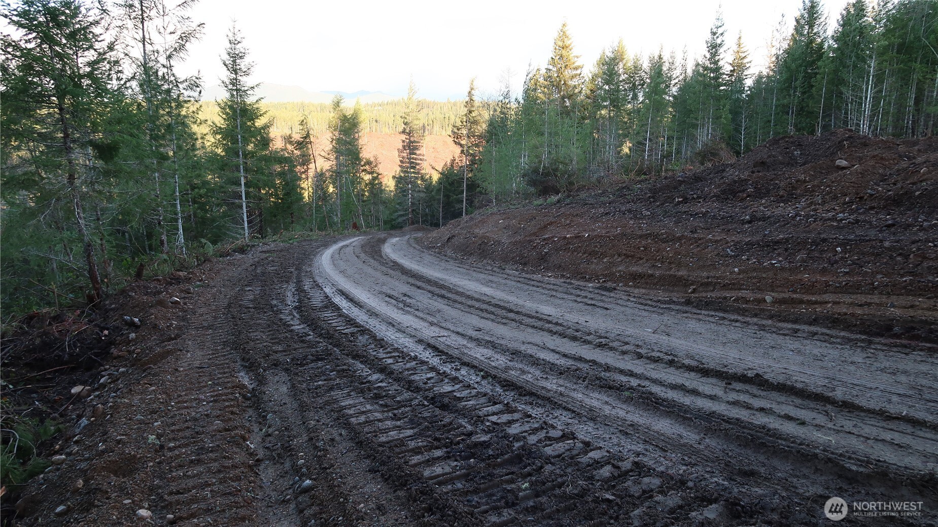 2180 Northeast Holly Dewatto Road Tahuya, WA 98588 - Photo 26 of 30 a view of a yard