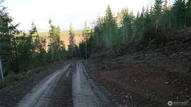 a view of a pathway with a forest