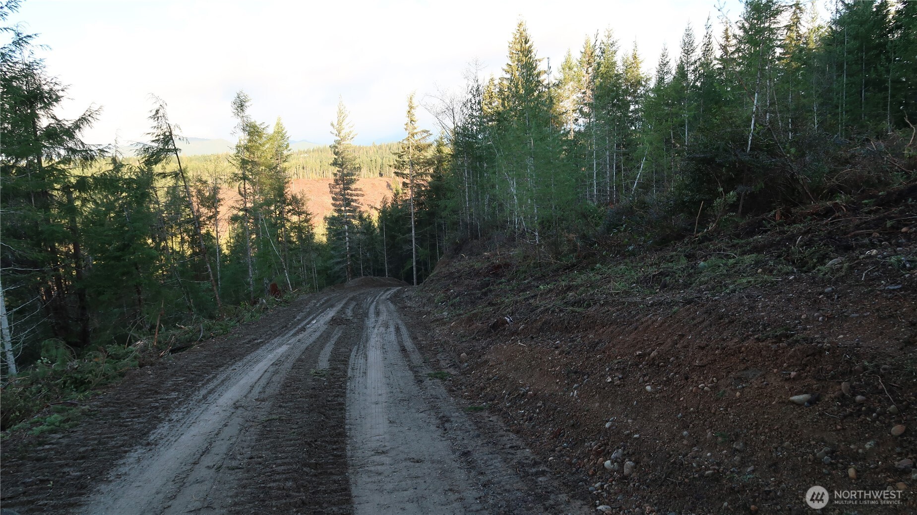 2180 Northeast Holly Dewatto Road Tahuya, WA 98588 - Photo 27 of 30 a view of a pathway with a forest