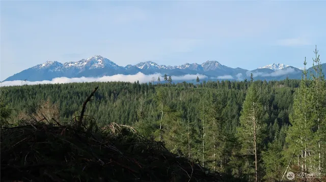 a view of a lush green hillside and a mountain