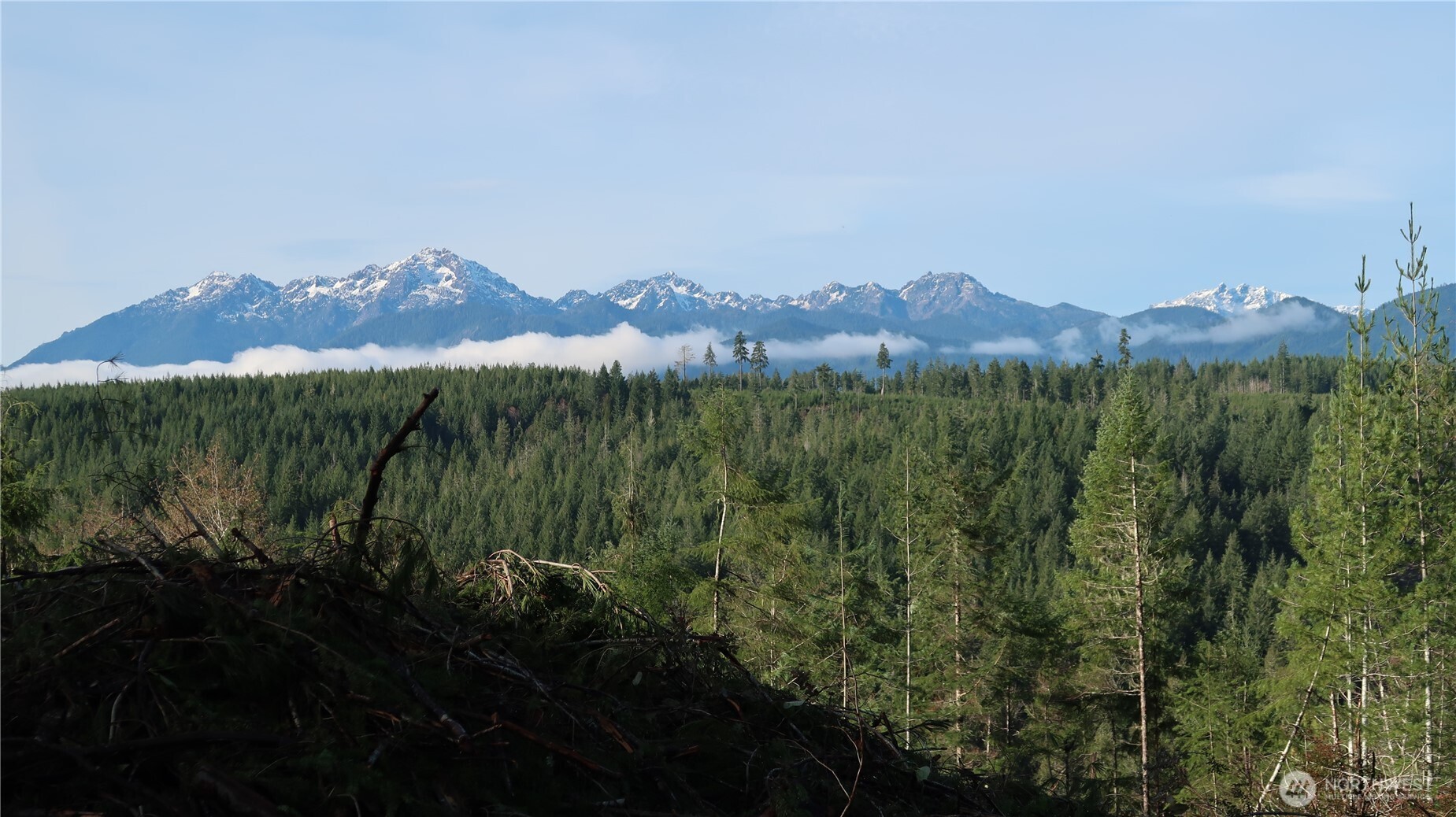 2180 Northeast Holly Dewatto Road Tahuya, WA 98588 - Photo 3 of 30 a view of a lush green hillside and a mountain