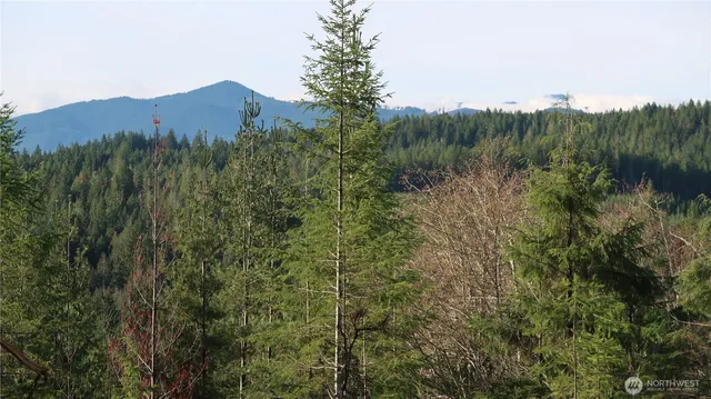 a view of a town with trees in the background