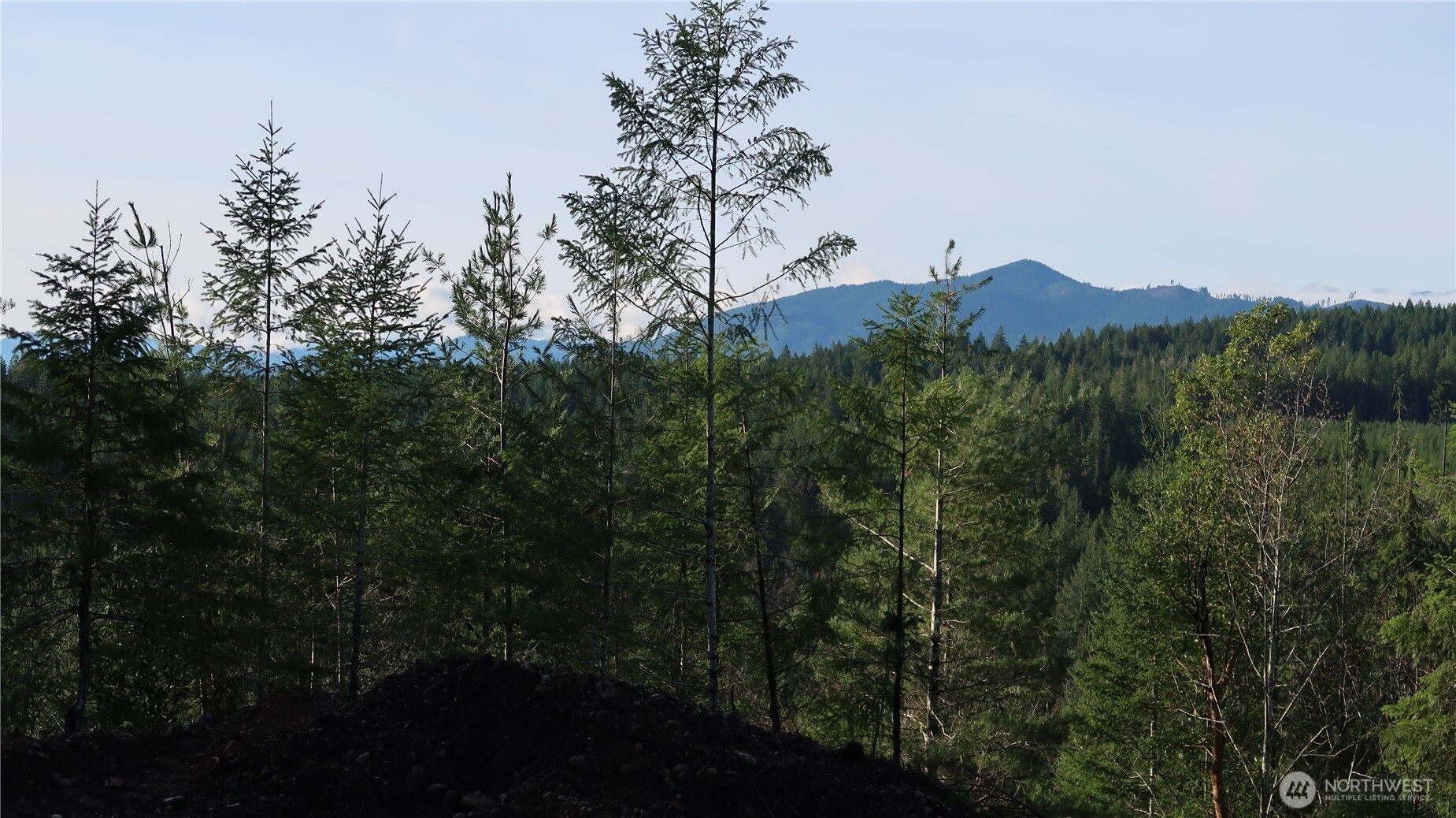 2180 Northeast Holly Dewatto Road Tahuya, WA 98588 - Photo 5 of 30 a view of a city
