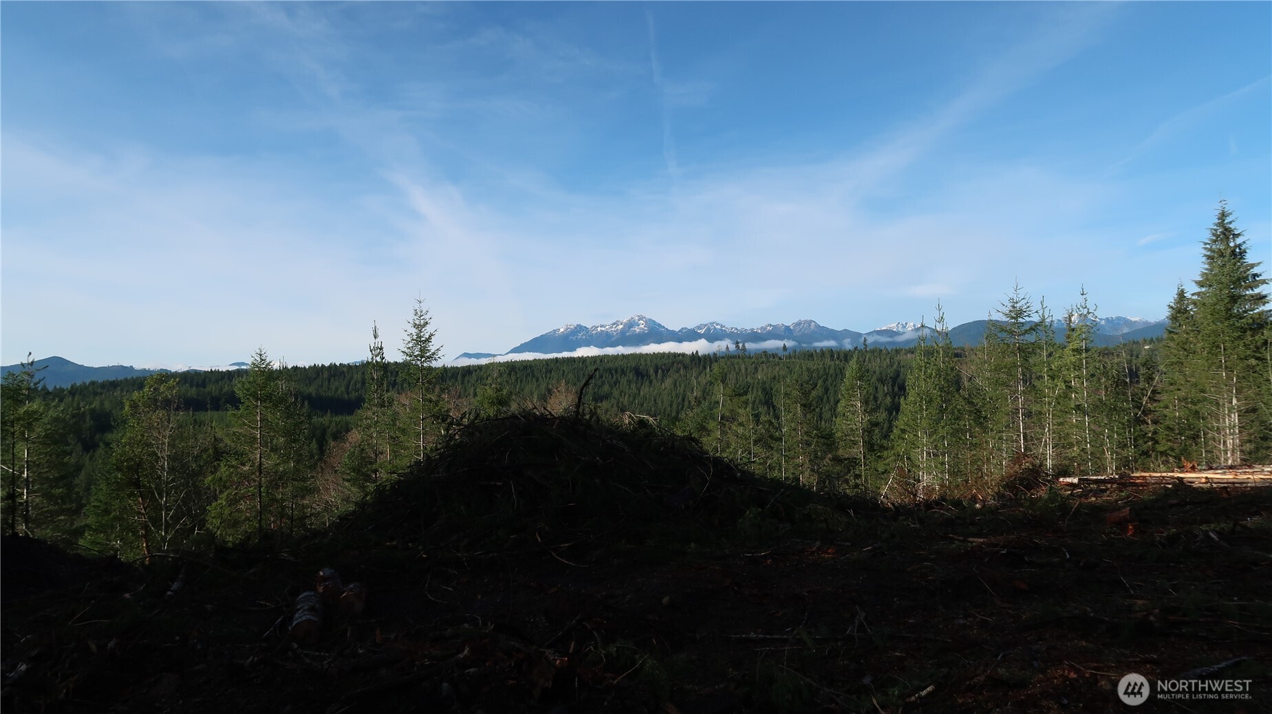 2180 Northeast Holly Dewatto Road Tahuya, WA 98588 - Photo 6 of 30 a view of a city from a yard