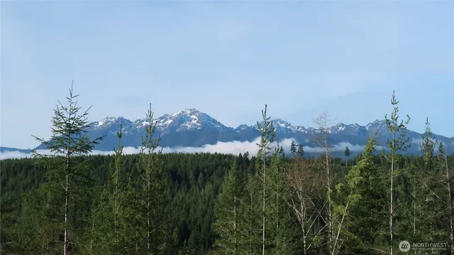 a view of a city with green space