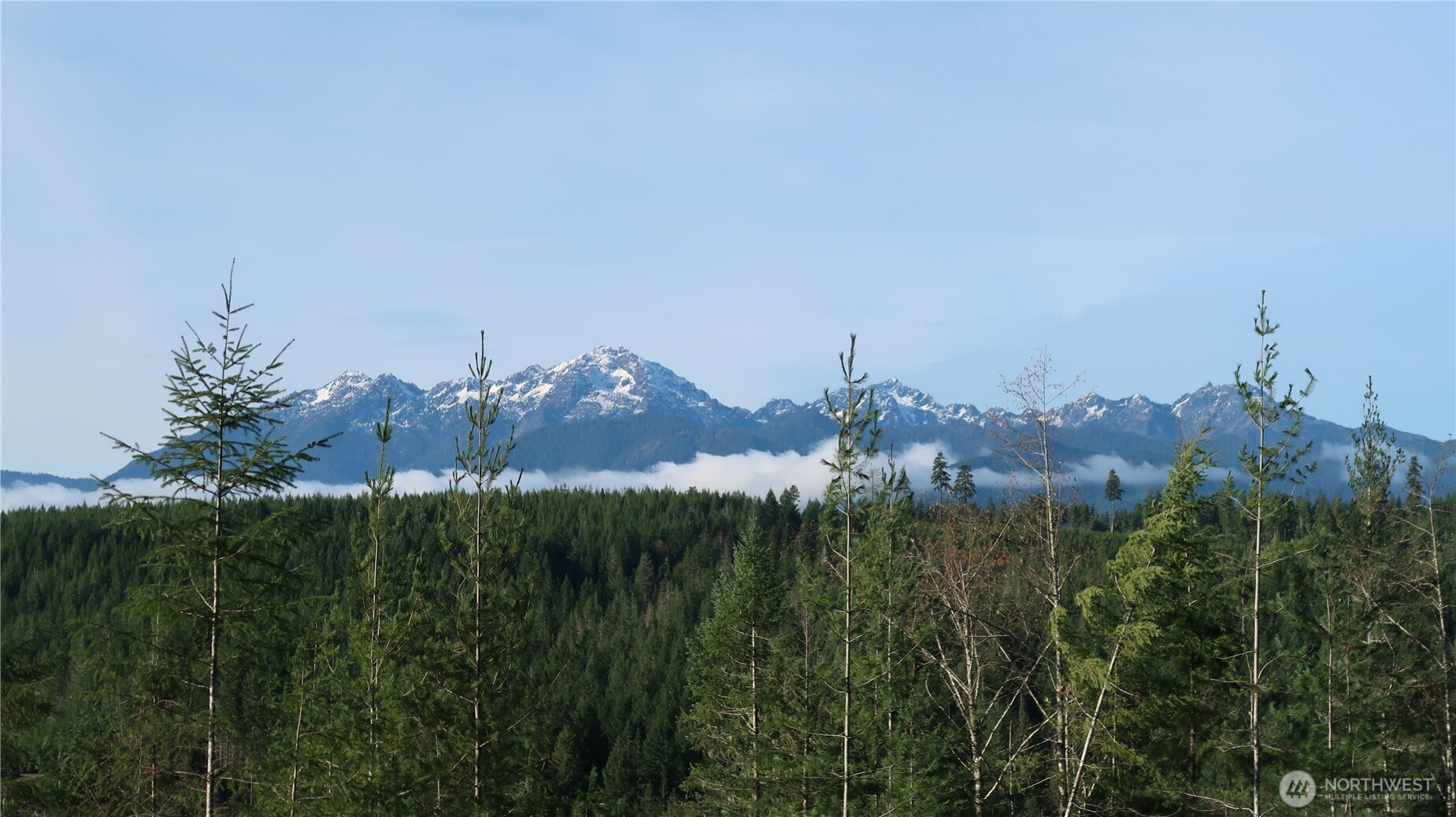 2180 Northeast Holly Dewatto Road Tahuya, WA 98588 - Photo 7 of 30 a view of a city with green space