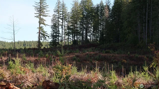 a view of lake with green space