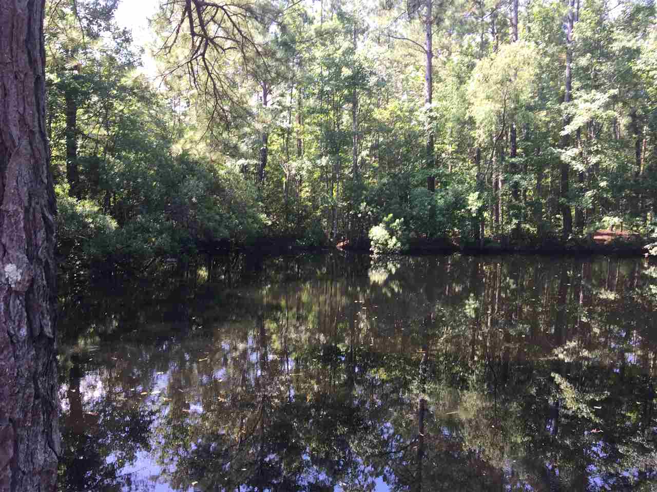 Parcel B Loop Circle Longs, SC 29568 - Photo 2 of 8 Gallery Image 2