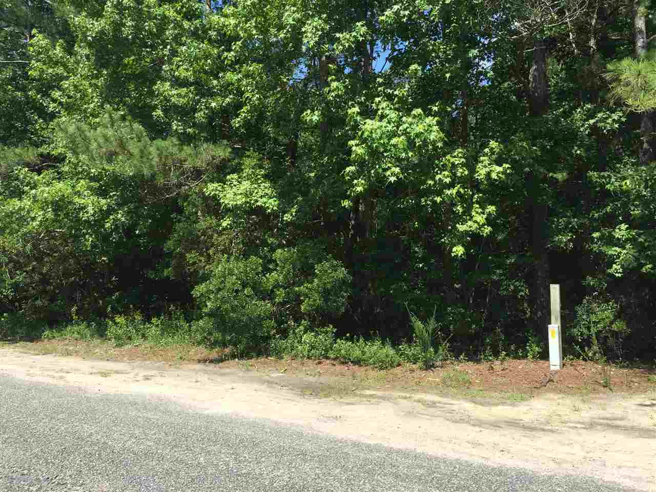 Parcel B Loop Circle Longs, SC 29568 - Photo 3 of 8 Gallery Image 3