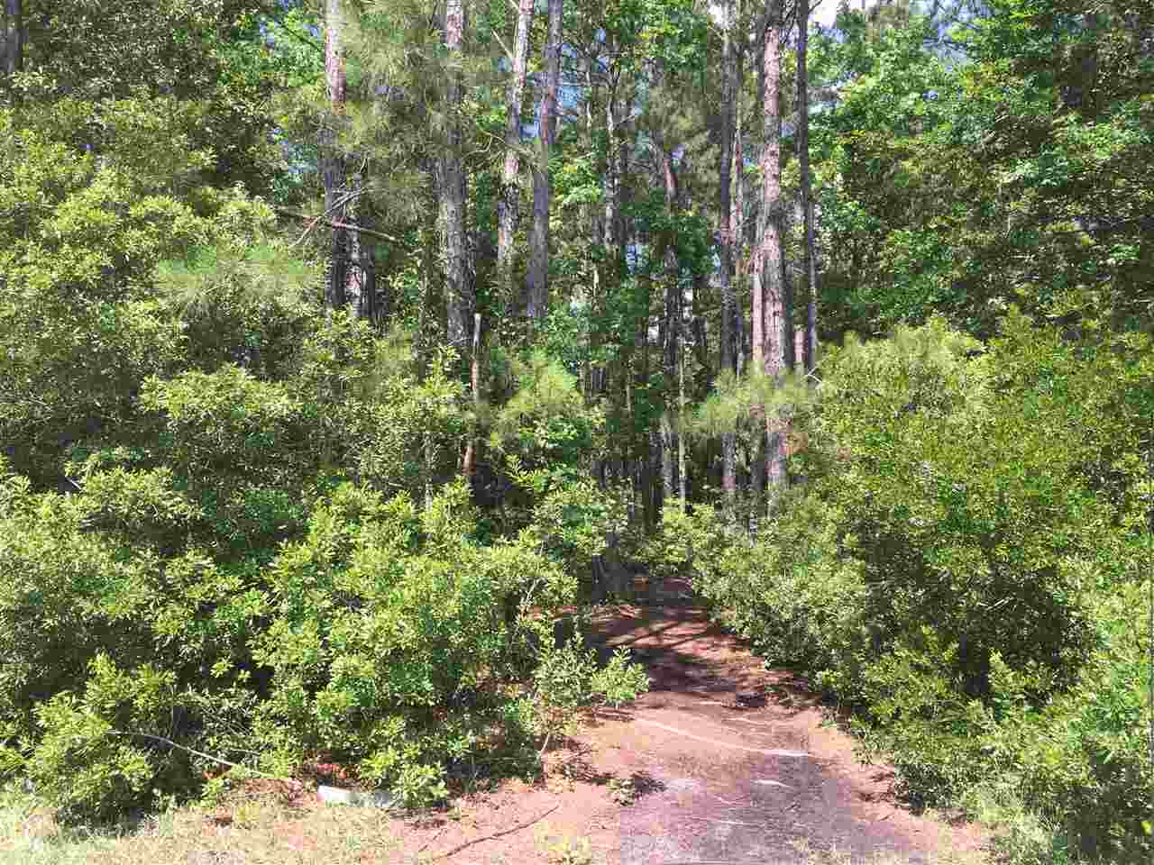 Parcel B Loop Circle Longs, SC 29568 - Photo 4 of 8 Gallery Image 4
