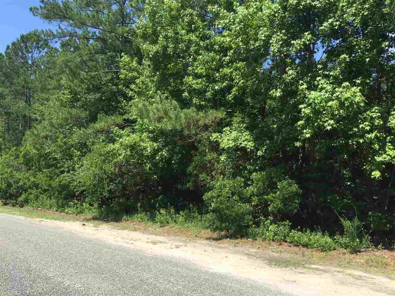 Parcel B Loop Circle Longs, SC 29568 - Photo 6 of 8 Gallery Image 6