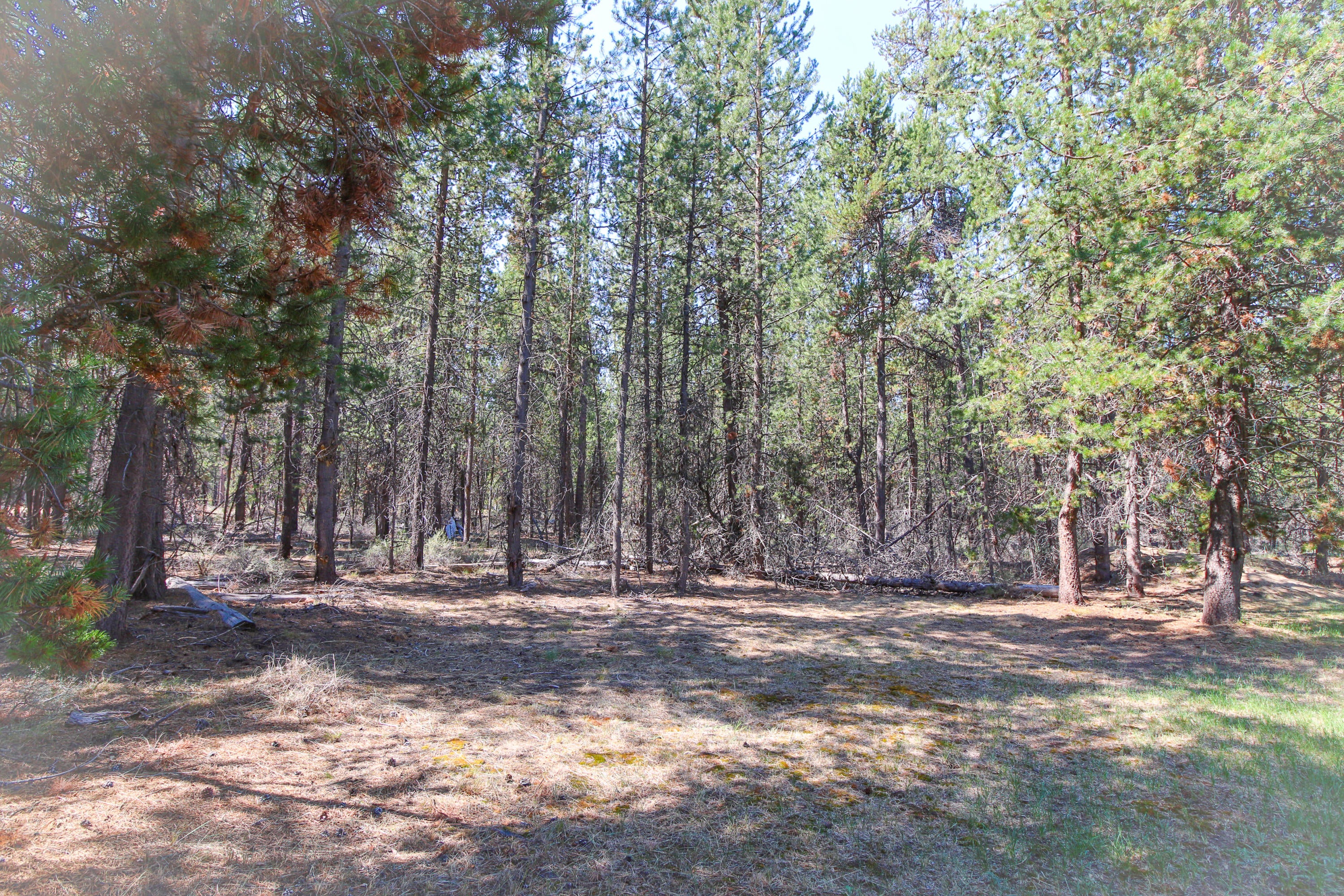 16073 Aqua Road La Pine, OR 97739 - Photo 18 of 19 Pic 18