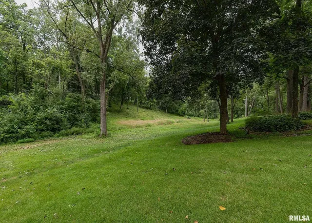a view of a trees in a park