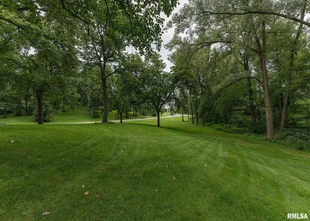 a view of a park with large trees