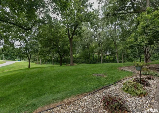 a view of a park with trees in the background