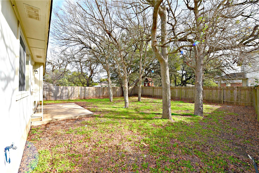 3665 Spring Canyon Trail Round Rock, TX 78681 - Photo 20 of 21 a view of a yard with a tree