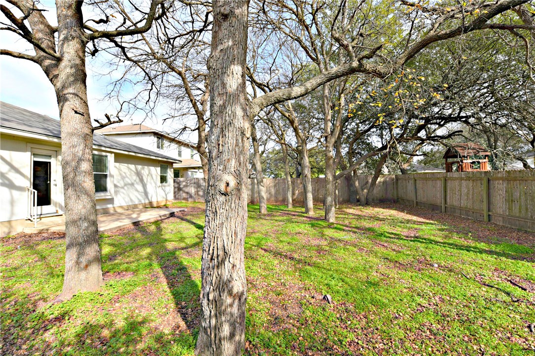 3665 Spring Canyon Trail Round Rock, TX 78681 - Photo 21 of 21 a backyard of a house with table and chairs