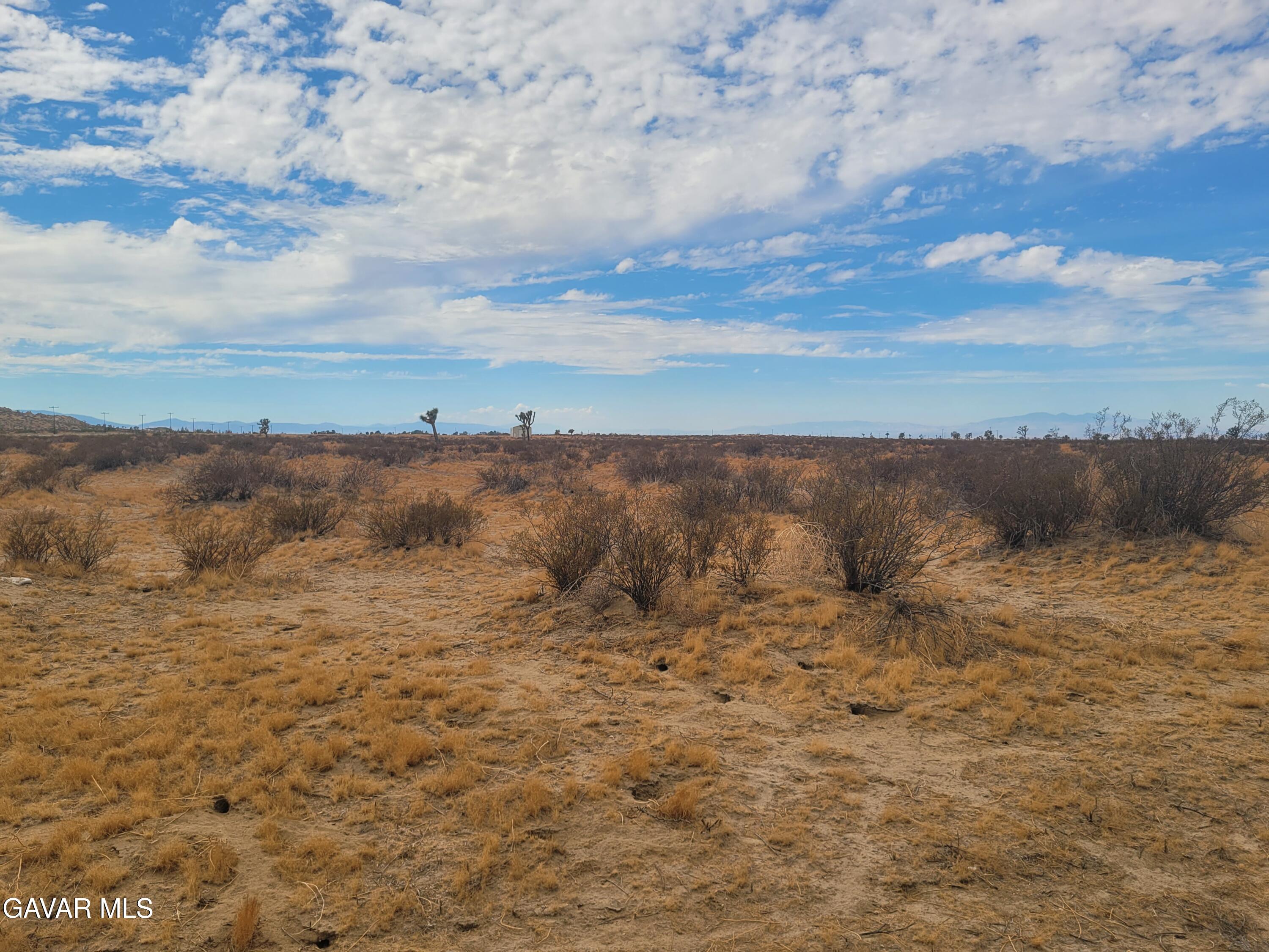 K6 Vic 167 Lancaster, CA 93535 - Photo 15 of 18 a view of a dry yard with mountain