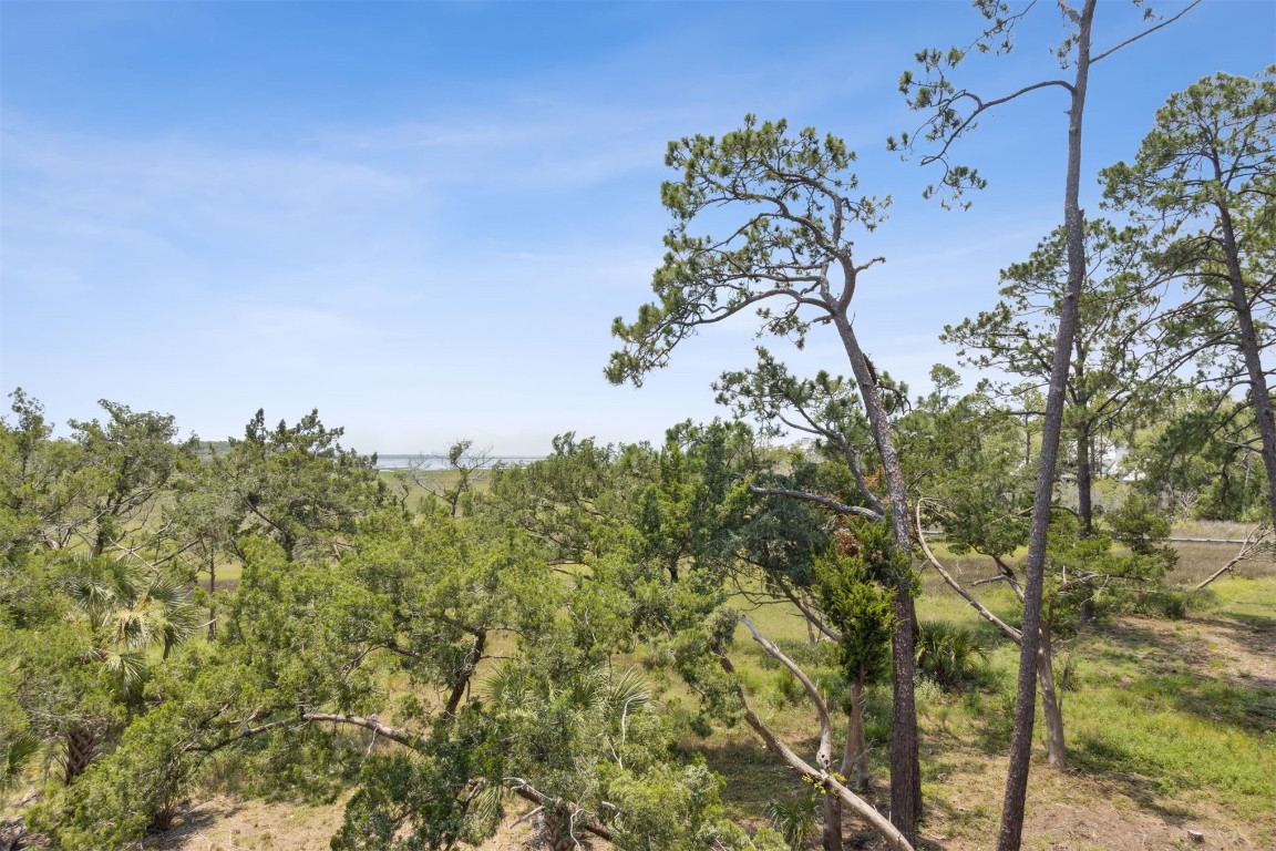 91 Marsh Court Fernandina Beach, FL 32034 - Photo 60 of 95